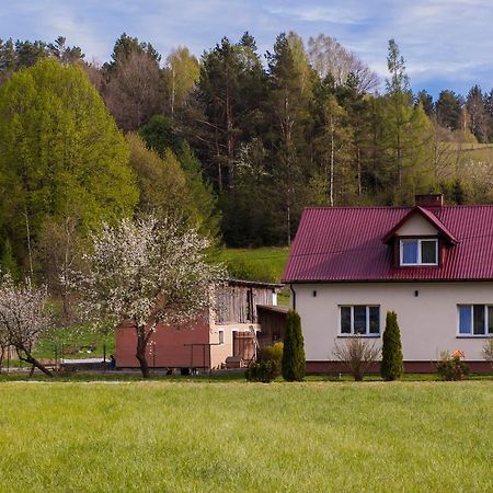 U Jadzi Pogórze Przemyskie Bircza Exterior foto