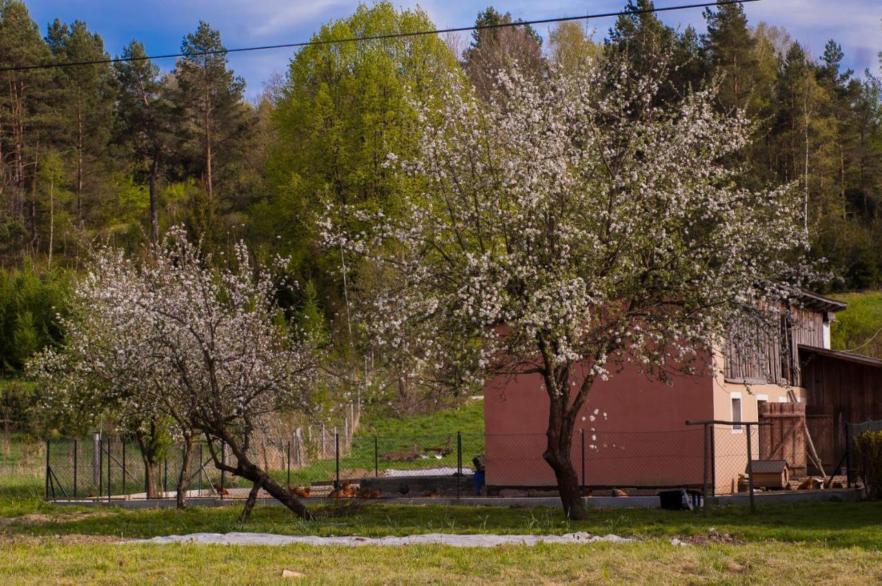 U Jadzi Pogórze Przemyskie Bircza Exterior foto